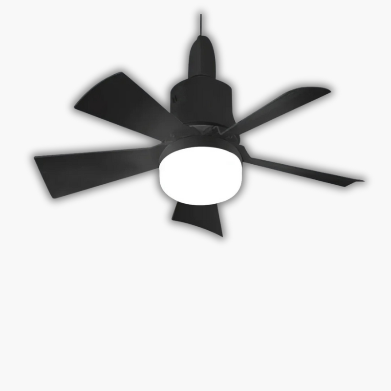 Plafonnier ventilateur